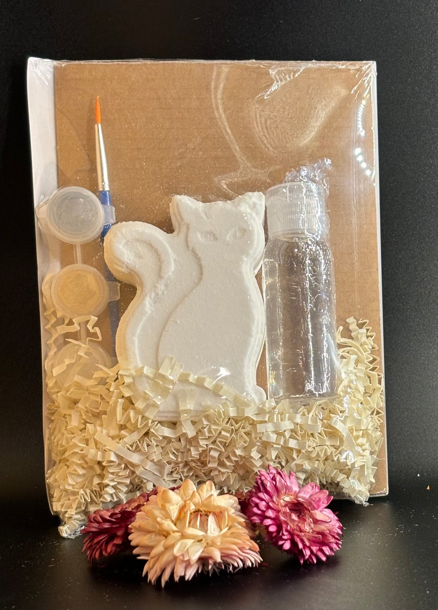 Bath Bomb Painting Kits