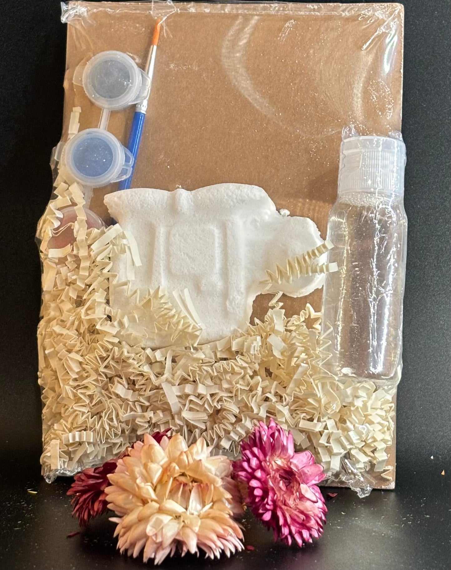 Bath Bomb Painting Kits