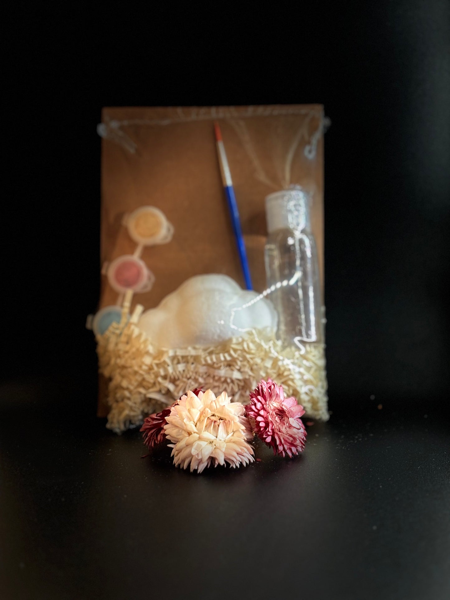 Bath Bomb Painting Kits