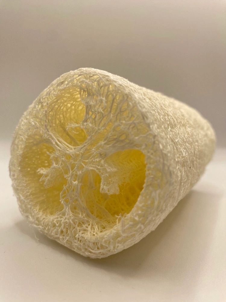 Loofah