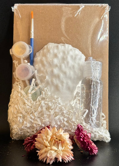 Bath Bomb Painting Kits