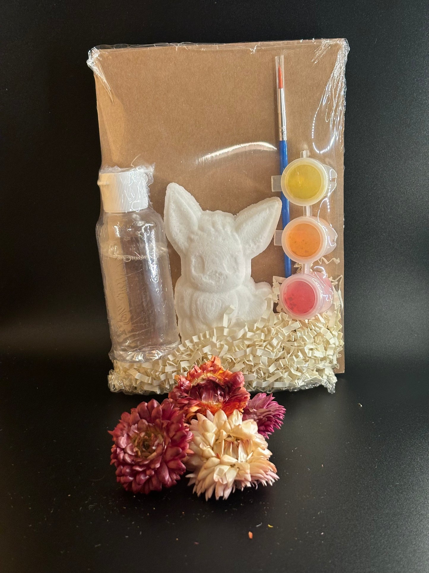 Bath Bomb Painting Kits